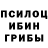 Псилоцибиновые грибы MAGIC MUSHROOMS R.I.P.   2b2t