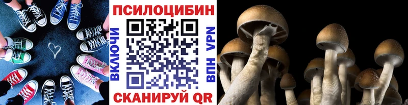 даркнет сайт  Симферополь  Псилоцибиновые грибы GOLDEN TEACHER 